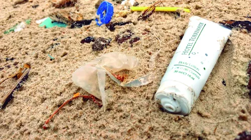 Lixo “esquecido” na praia invade os oceanos, afeta ecossistemas e acaba com vidas marinhas - Imagem