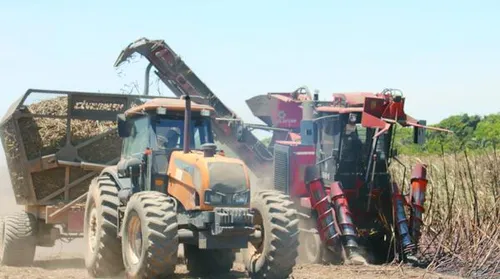 Mecanização avança na cana em Alagoas diante da falta de mão de obra - Imagem