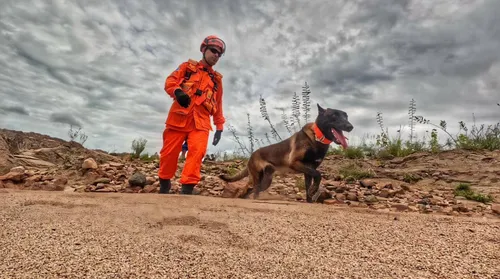 Operação com cão farejador tenta localizar homem levado por correnteza - Imagem