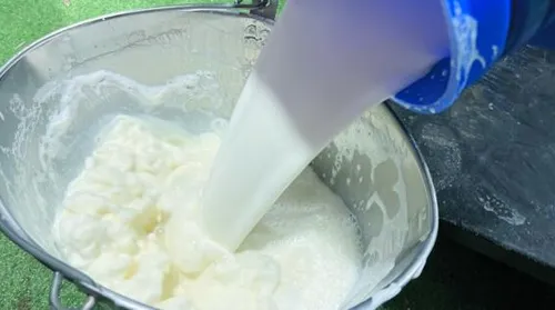 Produção nacional de leite bate recorde histórico em 2025 - Imagem