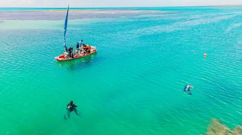 Projeto ambiental avança na recuperação dos corais no litoral de Alagoas - Imagem