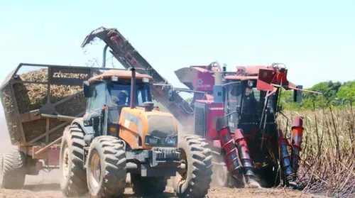 Serra Grande inova com colheitadeiras que operam em áreas de declive - Imagem
