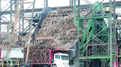 Sistema de limpeza a seco aumenta eficiência no processamento da cana - Imagem