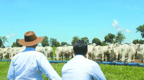 Valor Bruto da Produção Agropecuária deve atingir R$ 1,39 tri em 2026 - Imagem