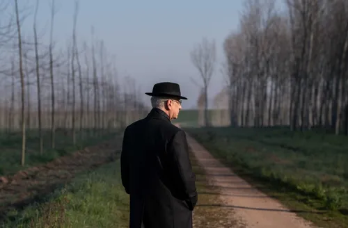 'A Graça', de Paolo Sorrentino intercala rigor formal e flertes com excessos