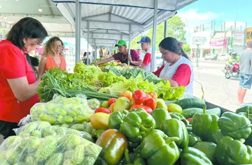 Agricultura familiar entra no roteiro do turismo com 2º Circuito de Feiras