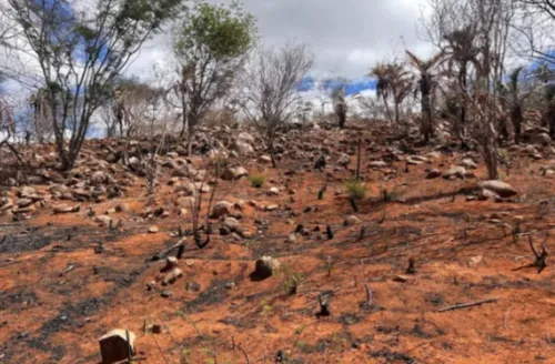 Alagoas registra redução da seca no mês de fevereiro, aponta monitor