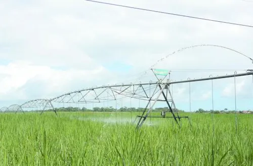 Comissão aprova ressarcimento para produtor rural por perdas decorrentes da falta de energia
