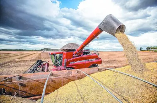 Conab estima produção recorde de grãos em 2025/26 com 353,4 milhões de toneladas