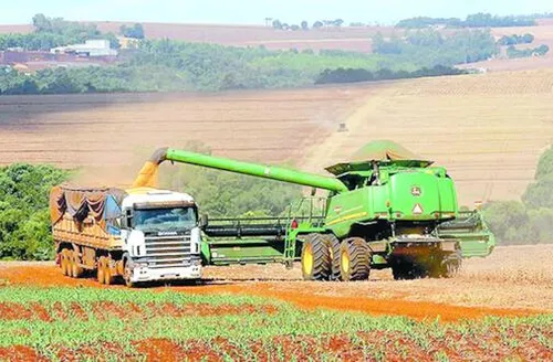 Crédito rural cresce 7% no Plano Safra 2025/2026