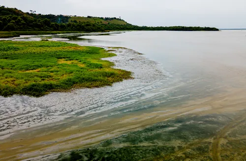 Entre a lama e o abandono: a crise ambiental da Lagoa Mundaú