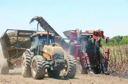 Mecanização avança na cana em Alagoas diante da falta de mão de obra