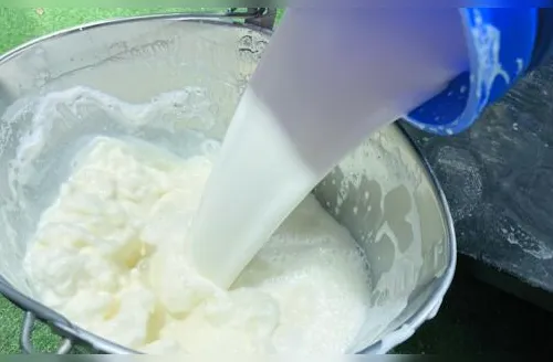 Produção nacional de leite bate recorde histórico em 2025