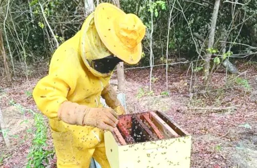 Sebrae lança projeto que vai impulsionar apicultura e meliponicultura no Sul de Alagoas

uso de água nas usinas