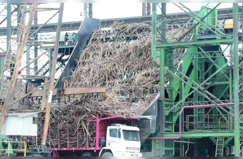 Sistema de limpeza a seco aumenta eficiência no processamento da cana