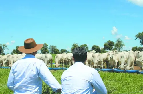 Valor Bruto da Produção Agropecuária deve atingir R$ 1,39 tri em 2026