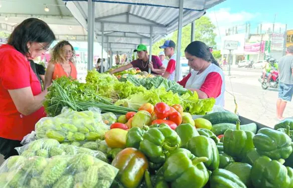 Agricultura familiar entra no roteiro do turismo com 2º Circuito de Feiras
