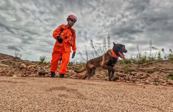 Operação com cão farejador tenta localizar homem levado por correnteza