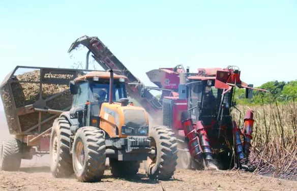 Serra Grande inova com colheitadeiras que operam em áreas de declive