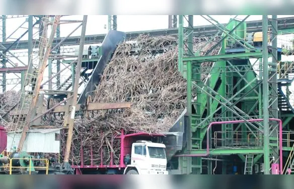 Sistema de limpeza a seco aumenta eficiência no processamento da cana