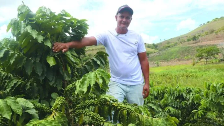 André Souza lidera a retomada do cultivo do café em União dos Palmares