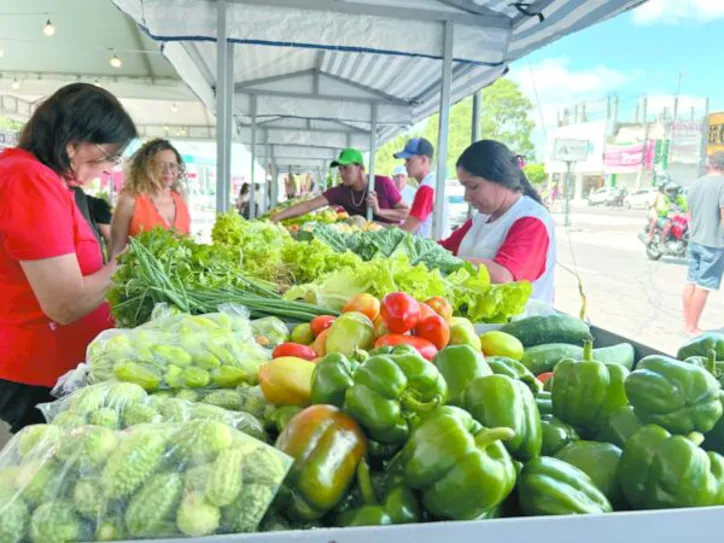 A proposta é transformar o turista em consumidor recorrente dos produtos da agricultura familiar, fortalecendo um mercado que se mantém ativo para além do evento