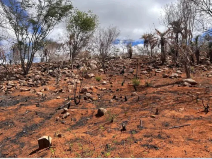 Imagem ilustrativa da imagem Alagoas registra redução da seca no mês de fevereiro, aponta monitor