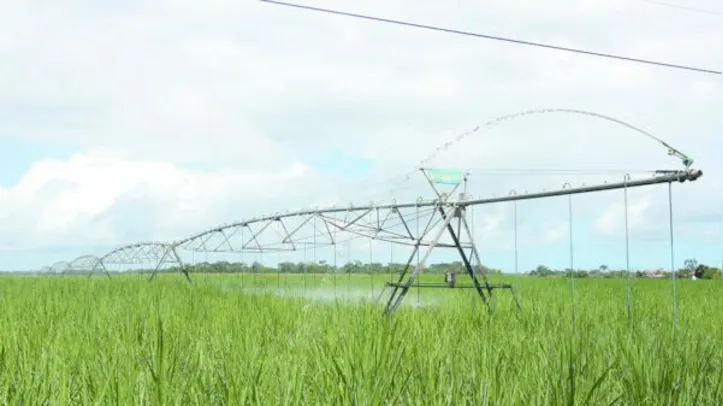 O ressarcimento será calculado com base no valor de mercado dos produtos na região