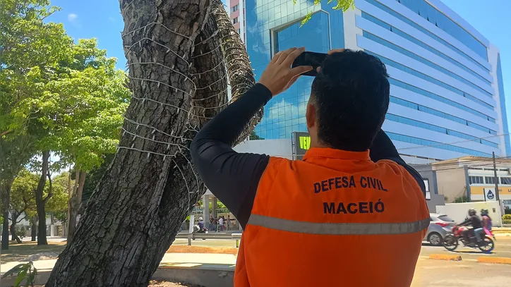 Até o fim de março, a Defesa Civil pretende vistoriar cerca de 10 mil m² de áreas arborizadas em praças