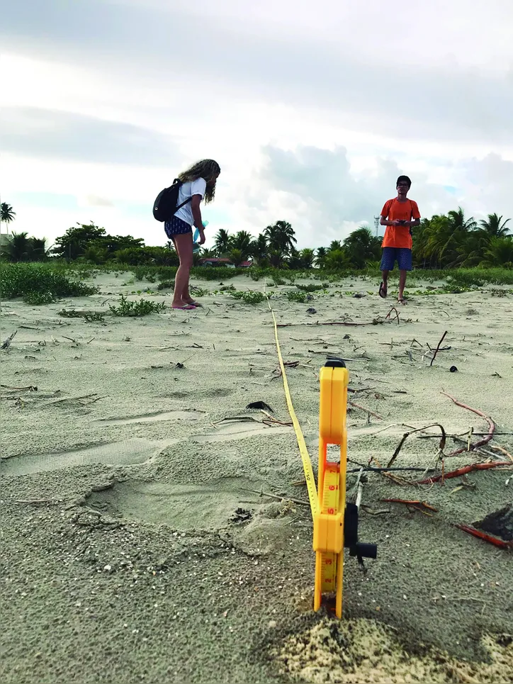Imagem ilustrativa da imagem Lixo “esquecido” na praia invade os oceanos, afeta ecossistemas e acaba com vidas marinhas