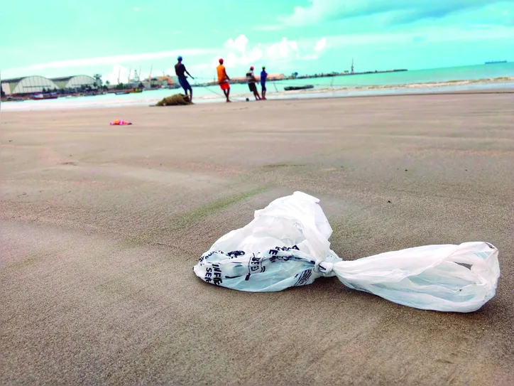 Imagem ilustrativa da imagem Lixo “esquecido” na praia invade os oceanos, afeta ecossistemas e acaba com vidas marinhas