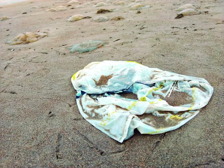 Imagem ilustrativa da imagem Lixo “esquecido” na praia invade os oceanos, afeta ecossistemas e acaba com vidas marinhas