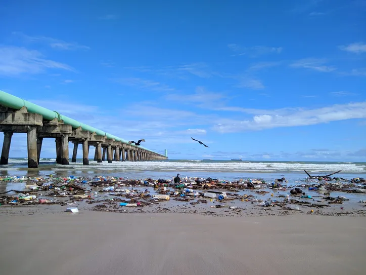 Plásticos podem se fragmentar e se tornar partículas igualmente danosas ao meio ambiente