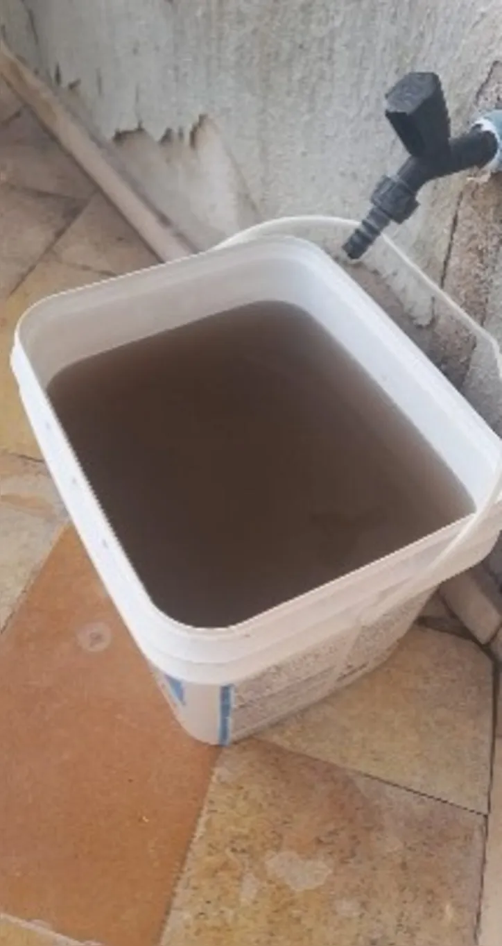 Imagem ilustrativa da imagem Moradores denunciam água turva após interrupção no abastecimento na Praia do Francês, em Marechal