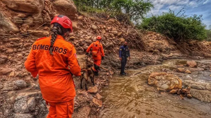 Imagem ilustrativa da imagem Operação com cão farejador tenta localizar homem levado por correnteza