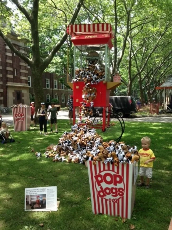 Imagem ilustrativa da imagem Porto de Maceió será palco de performance internacional