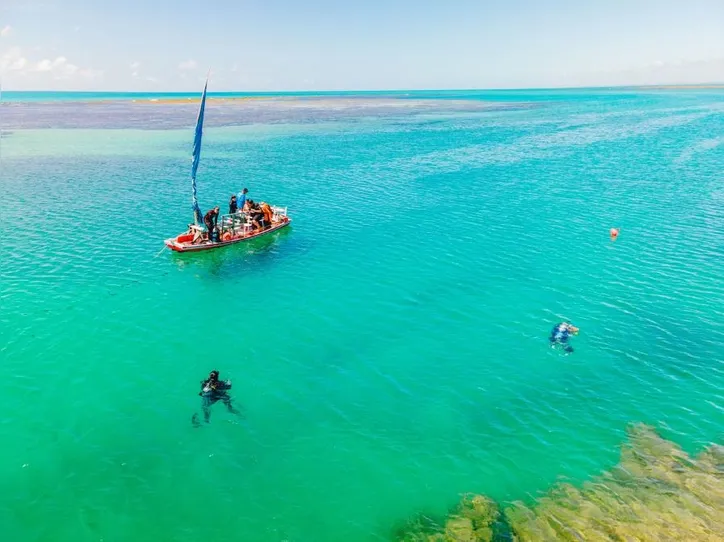 Imagem ilustrativa da imagem Projeto ambiental avança na recuperação dos corais no litoral de Alagoas