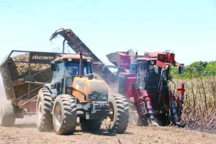 Colheitadeira apresenta porte menor, o que agiliza manobras nas áreas de canavial