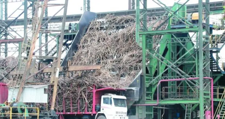 Sem uso de água, técnica retira impurezas vegetais e minerais da cana que chega do campo à indústria