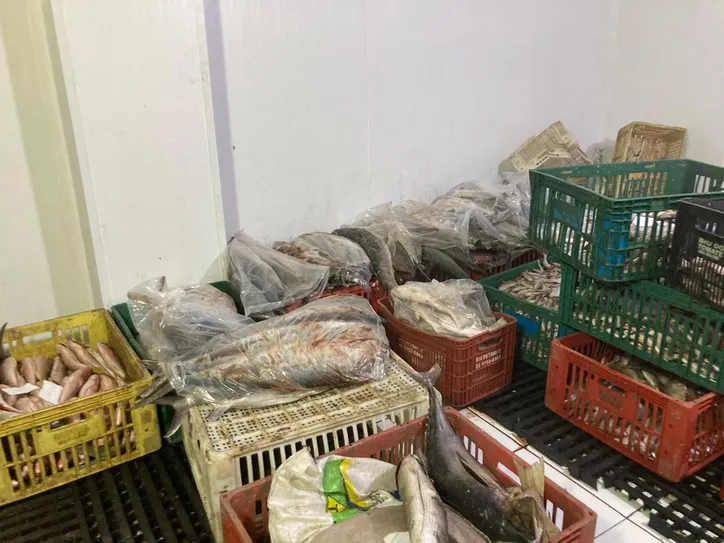 Imagem ilustrativa da imagem Vigilância Sanitária intensifica fiscalização de pescados em Maceió