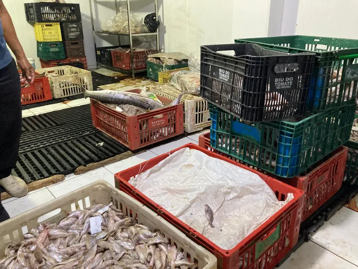 Imagem ilustrativa da imagem Vigilância Sanitária intensifica fiscalização de pescados em Maceió