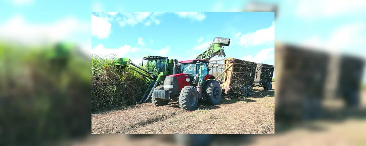 Safra de cana chega ao fim em Alagoas com recorde de etanol na Porto Rico