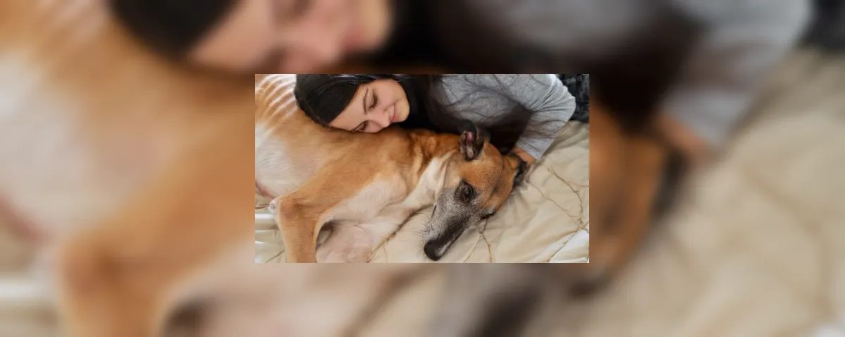 Seu pet dorme na mesma cama que você? Entenda quando evitar o hábito