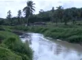 Contaminação de rio preocupa moradores de Riacho Doce; IMA diz que vai apurar denúncia