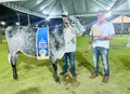 ExpoAlagoas Genética abre calendário de exposições do agro em Alagoas