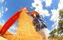 PIB cresce 0,6% em fevereiro e atinge patamar recorde, diz BC