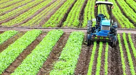 Crédito rural empresarial cresce 10% e atinge R$ 404 bilhões no Plano Safra 2025/2026