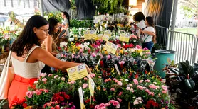 Feira de flores de Holambra volta a Maceió na Praça Dom Pedro II e tem mudas a partir de R$ 5,00