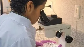 Mais da metade dos alunos abandona graduação em Alagoas