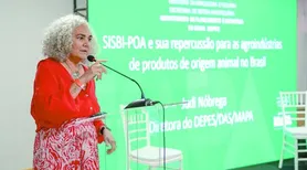 Mapa destaca impactos do Sisbi-POA no fortalecimento de agroindústrias